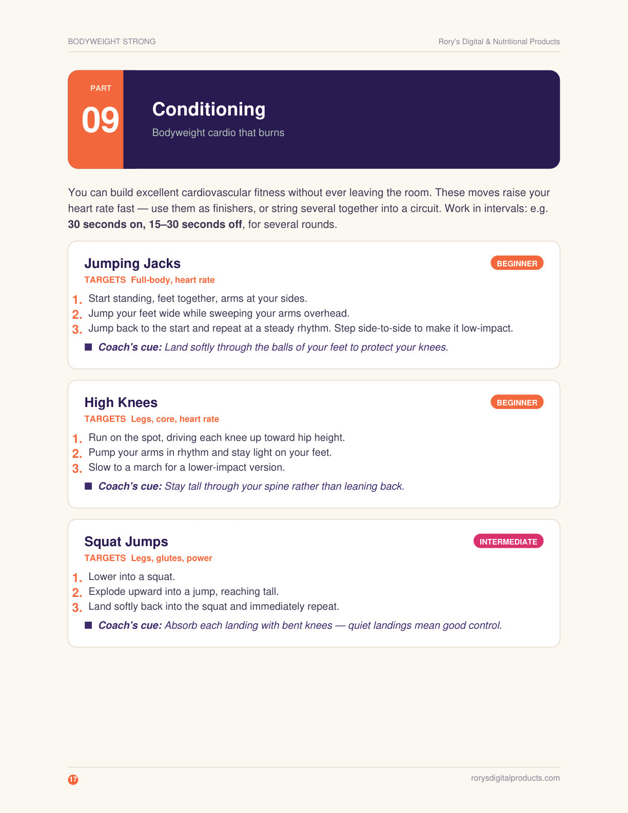 Bodyweight Calisthenics Guide — page 17